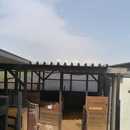 Schoenes Appartement " Die Ponybude" Auf Unserem Reiterhof Birkenbeul Bagian luar foto
