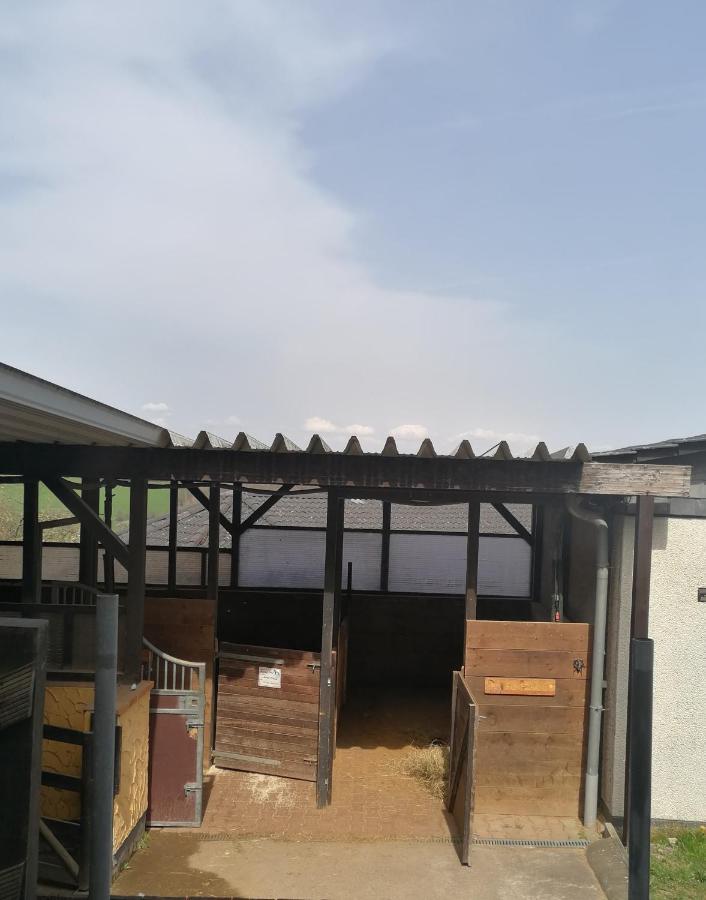 Schoenes Appartement " Die Ponybude" Auf Unserem Reiterhof Birkenbeul Bagian luar foto